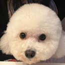 훌랄라 참숯치킨 불광2동점