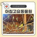 (주)경기사료 | 가평 아침고요가족동물원 후기 🐾 직접 먹이주고 교감하는 체험형 동물원!