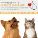 세종동물병원 이미지