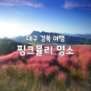 낙동강변 | 가을 낭만 끝판왕! 경북·대구 핑크뮬리 명소 3곳 완벽 가이드 (첨성대·가산수피아·논공꽃단지)