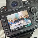 산드리아 | 춘천 산드리아 펜션 독채 9인 가족 후기와 소소한 팁
