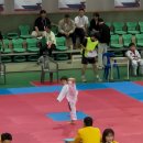 경희대 품희 태권도장 이미지