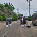 합동축산 이미지