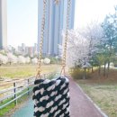 꼼지 이미지
