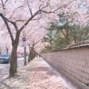 돌담길 이미지