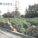 남원읍-123 Daum카페
