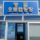 땅끝오토캠핑장 Daum카페