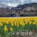 780053 네이버블로그
