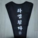 스마트로라 땀받이 &#39;타면된다&#39; 설치 후기