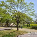 승촌보캠핑장 프레시안