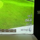 레몬스크린골프죤 이미지