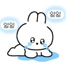 초밥왕김군 이미지