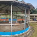 공주영상대부설유치원 이미지