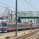 수원여객운수(주) | [26.03.28] 실타래 ㅣ 경기 수원, 인천광역시, 서울특별시