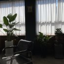 비채미장원