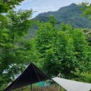 화왕산오토캠핑장 이미지