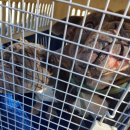 칠원119안전센터 이미지