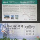 2022-05-30 오대천 상류(월정사~간평교)를 걸으며 온갖 참견을 해보다