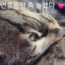서정수산 이미지