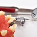 서울온정치과의원 이미지