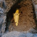 논공시장 이미지