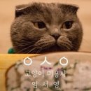 고양이미용사 임서영 이미지