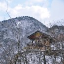 반야사 Daum카페