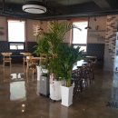 美, cafe 이미지