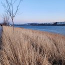 용산-이촌-183 이미지