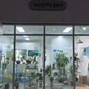 트웬티쏠 | 대구 수성구 범어동 감성 가득한 식물 화분 꽃다발 만족하는 픽업 후기 "트웬티 쏠"