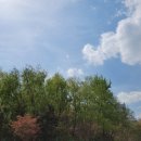 하늘지게차