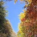 서운 북산리 석조여래입상 | 엘도라도의 산행기, 서운산 산행(경기안성), 불타오르는듯 화려하게 물든 단풍, 아니면 단아하게 자연을...