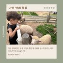 창목장 | 가평 아기랑 가볼만한곳 추천, 가평 양떼 목장 카페 후기