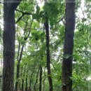 서리마을회관 이미지