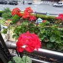 쉼터카페 이미지