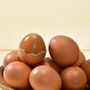 전북계란영농조합 이미지