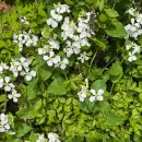 소래화원 이미지