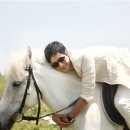 승연목장 이미지