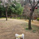 몽글댕글