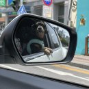 뭉구르밍 이미지