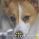 예스동물병원 이미지