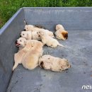 횡성119안전센터 이미지