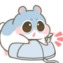 월드포켓클럽