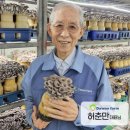 허춘농장 이미지