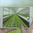 지인스마트팜 이미지