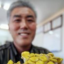 호암농산