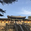 (주)삼세 | 202512경주, 부산