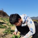 양덕중학교 이미지