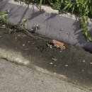 죽5리길 이미지