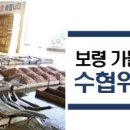 보령수산업협동조합 이미지